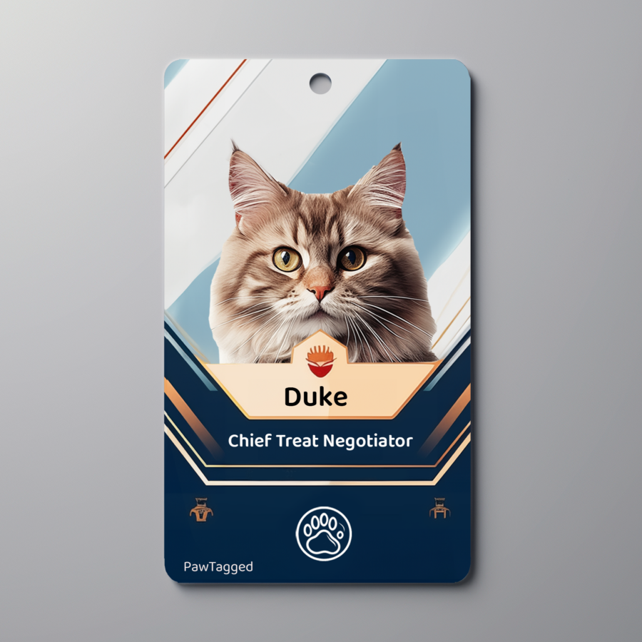 Custom Pet tags