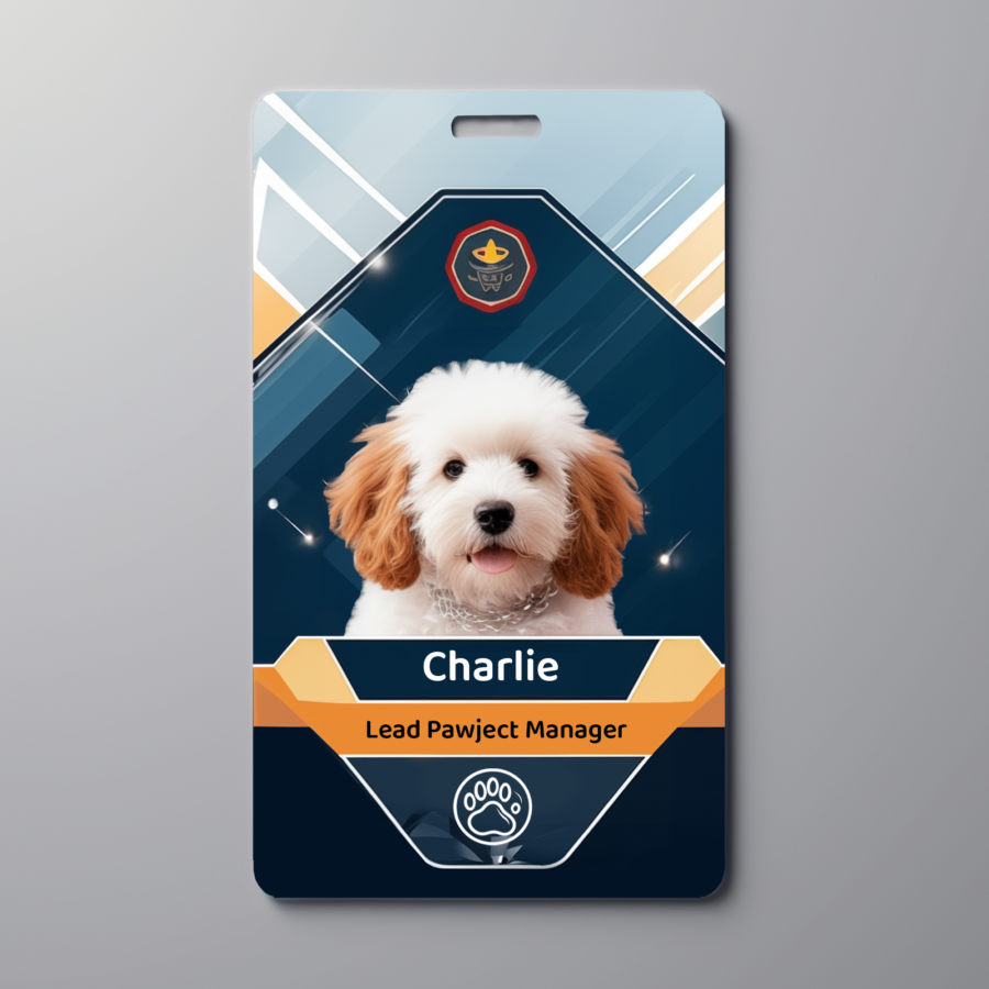 Personalized Custom Pet tags