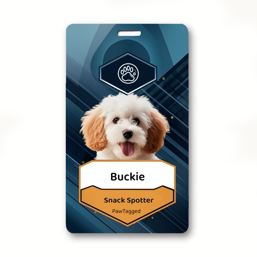 Personalized Custom Pet tags