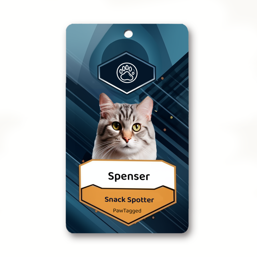 Personalized Custom Pet tags