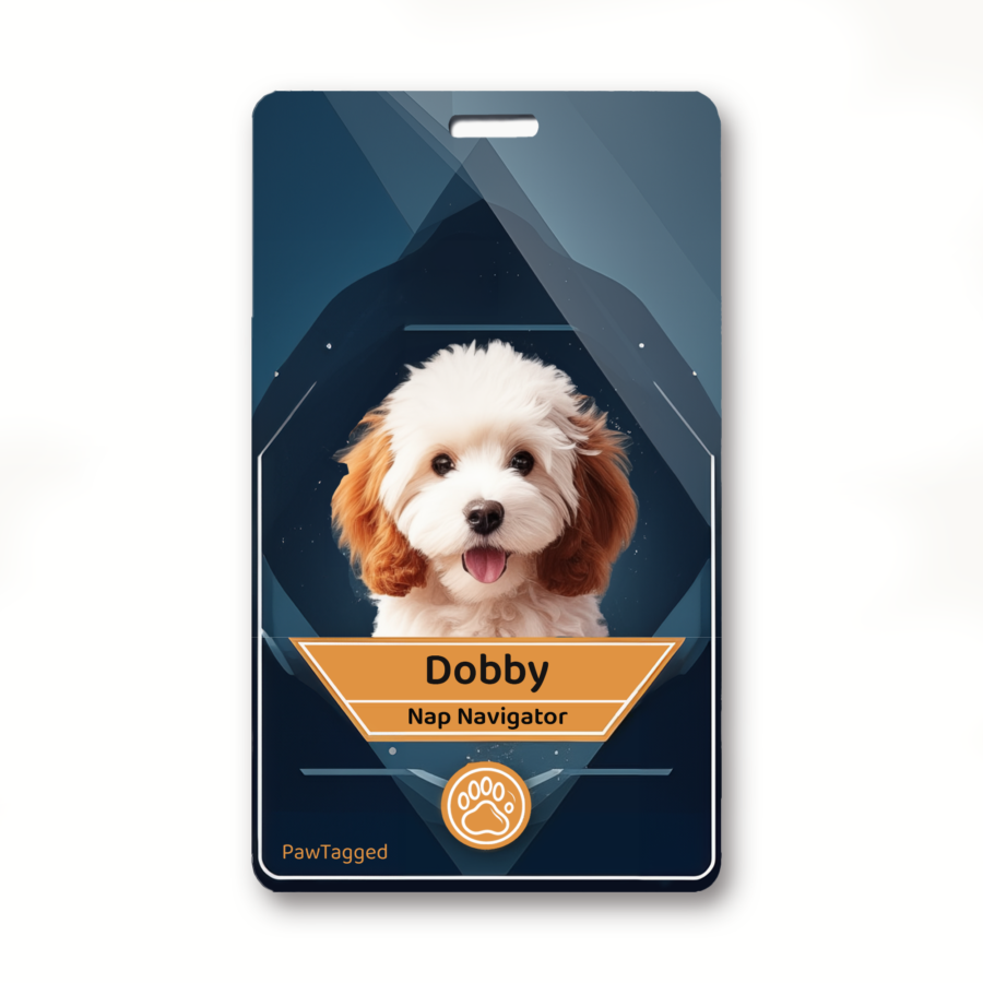 Personalized Custom Pet tags