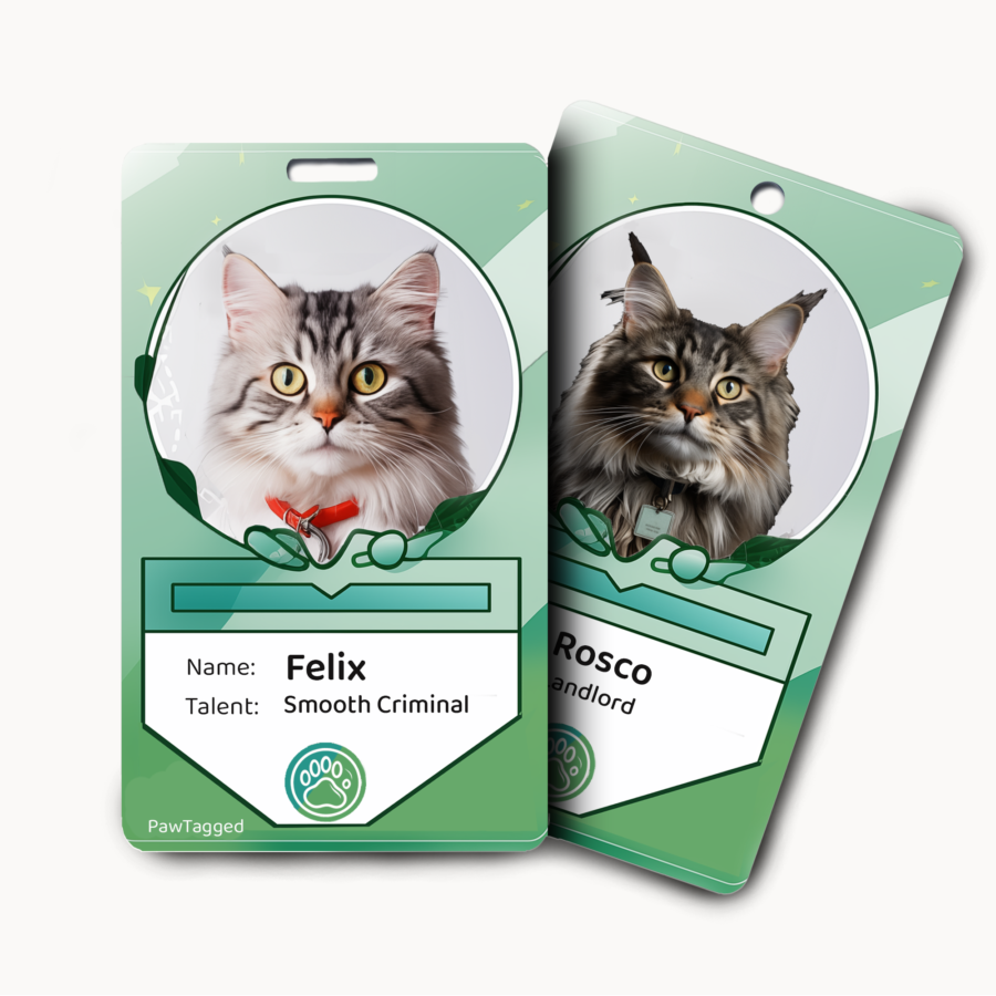 Personalized Custom Pet tags