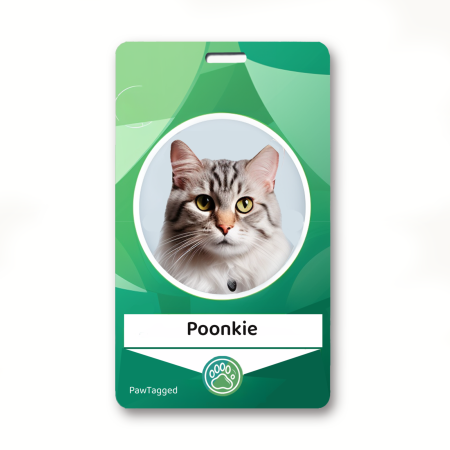 Personalized Pet ID tags