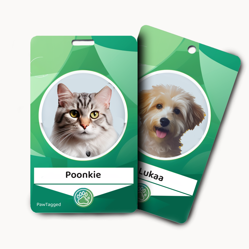 Personalized Pet ID tags