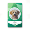 Personalized Pet ID tags