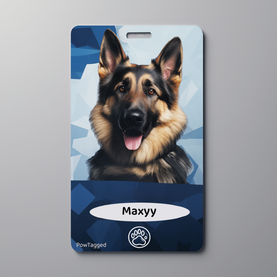 Personalized Custom Pet tags