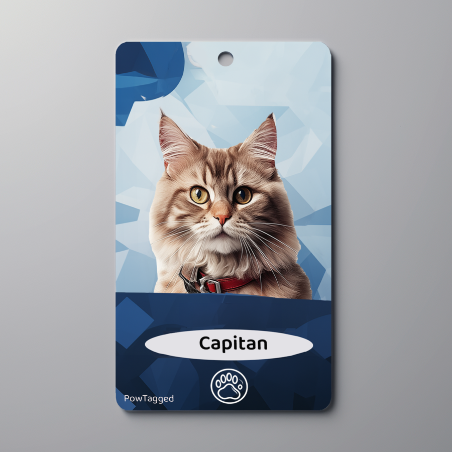 Personalized Custom Pet tags