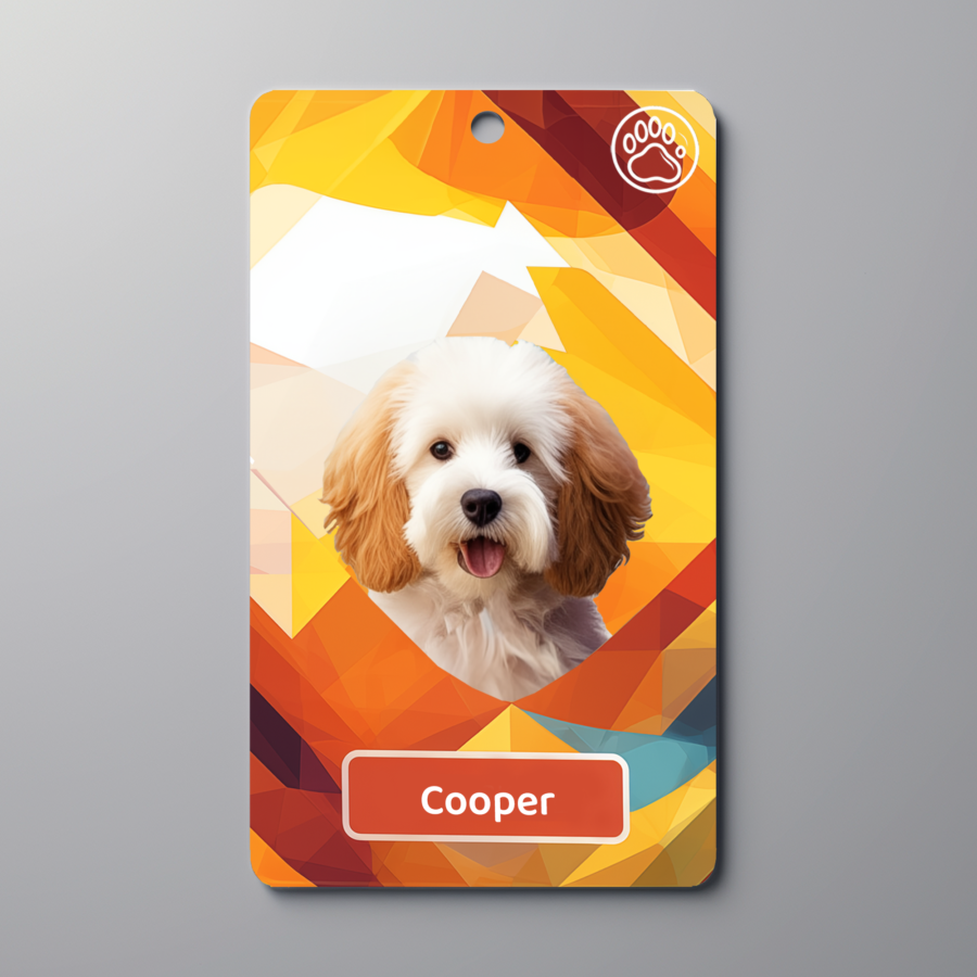 Personalized Pet ID tags