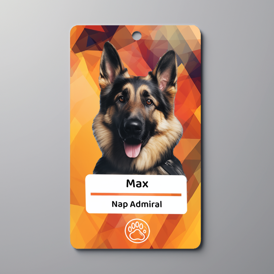 Personalized Custom Pet tags